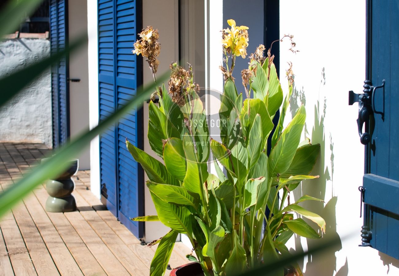 House in Capbreton - Villa Goxoki - Capbreton