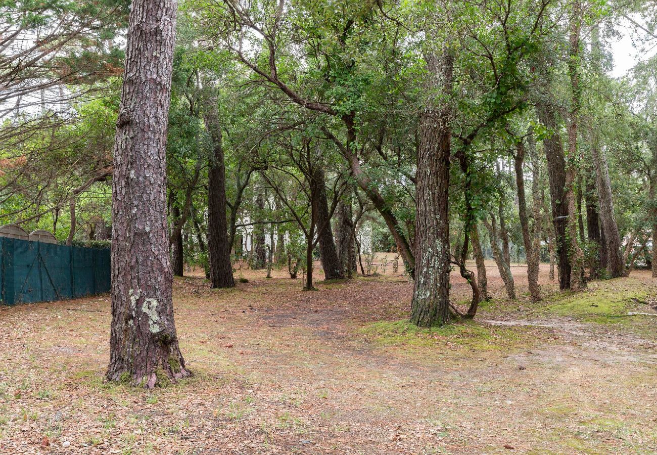 Apartamento en Seignosse - Appt Bourdaines - Seignosse - Cozy - Playa 2min