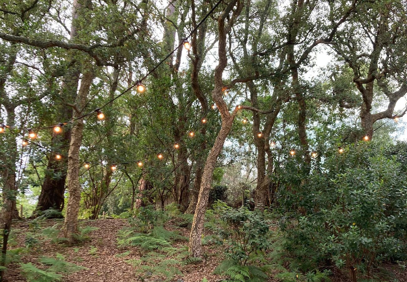 Casa en Soorts-Hossegor - Villa Her Den - Hossegor - Centro ciudad - Lago