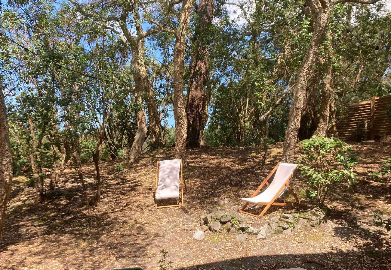 Casa en Soorts-Hossegor - Villa Her Den - Hossegor - Centro ciudad - Lago