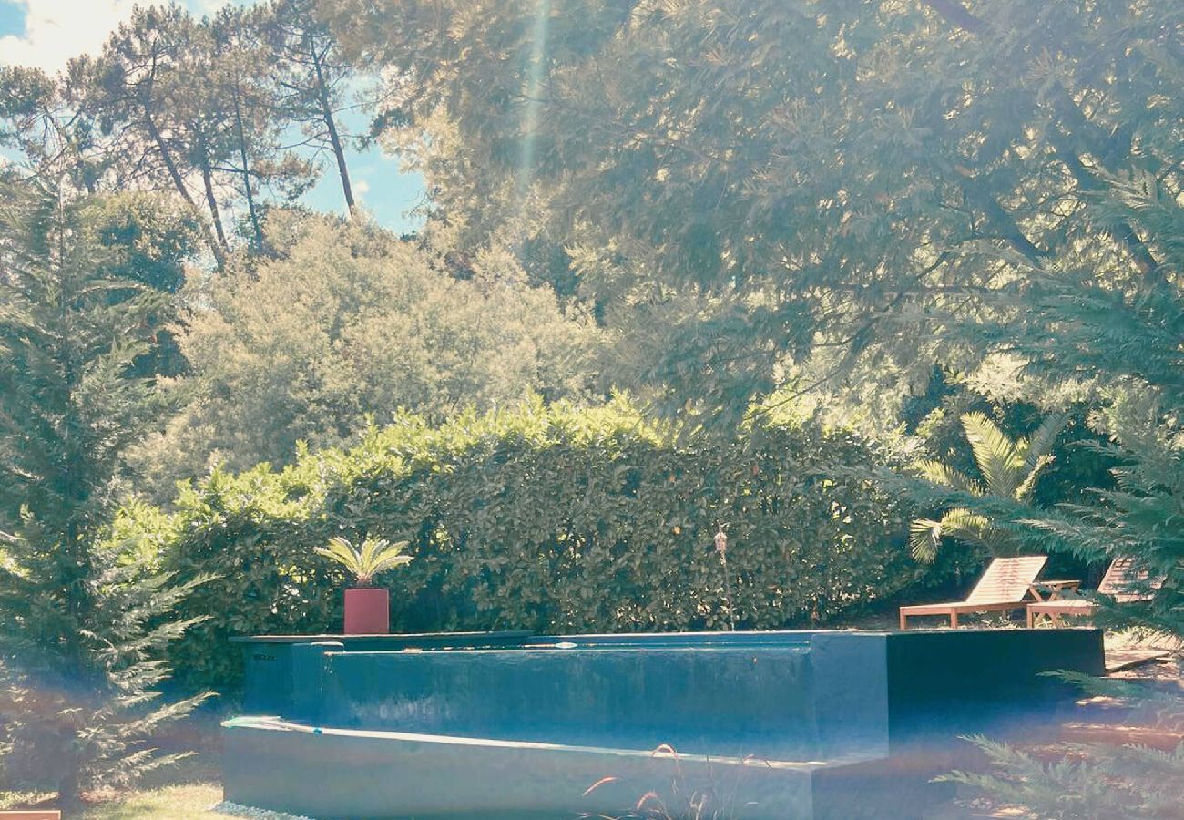 Maison à Soorts-Hossegor - Villa La La Landes - Hossegor - Piscine